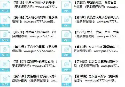 甄琦学长《成功男人的情感刚需》实战指南|限时揭秘专属情感升级方案-掌舵行动营