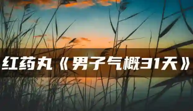 红色药丸《男子气概31天》实战指南:限时揭秘专属成长路径-掌舵行动营