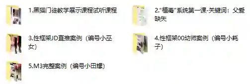 黑猫门徒核心课实战指南:限时揭秘专属成长路径-掌舵行动营