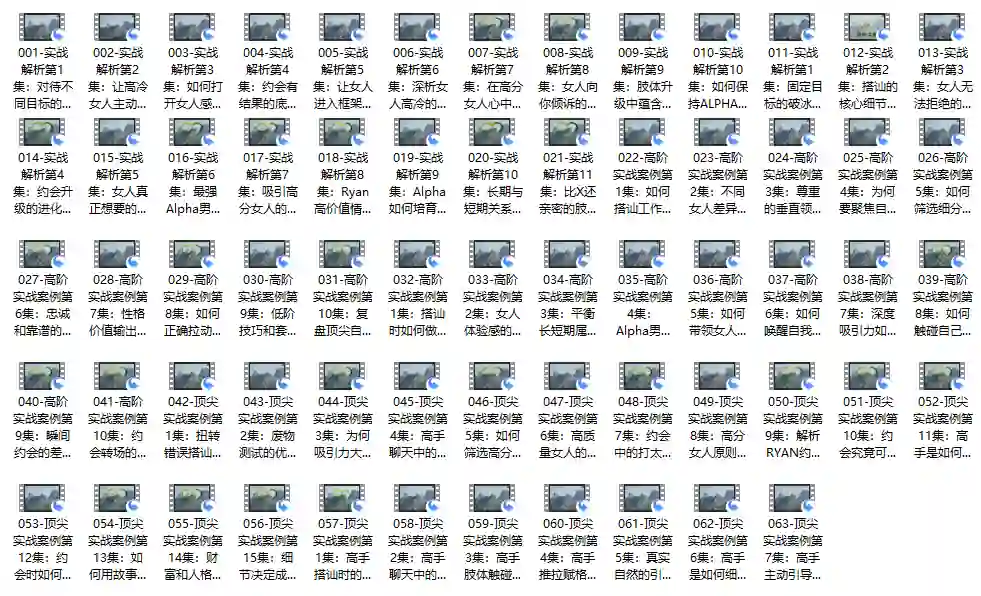 瑞恩自然之道Plus实战指南｜价值12800元专属揭秘版【完结】-掌舵行动营