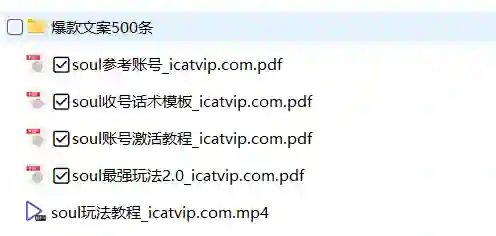 Soul最新玩法实战指南：500条爆款文案限时揭秘-掌舵行动营