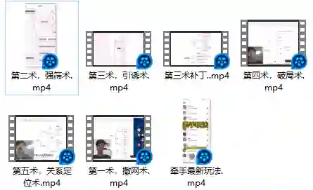 《速约五术》新版实战指南：揭秘高效约会心法-掌舵行动营