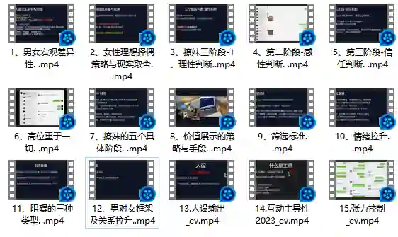 Leon情感5.0实战指南：限时揭秘专属情感提升术-掌舵行动营