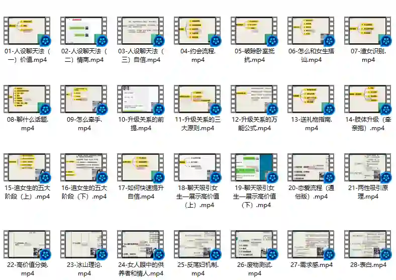 麦子《脱单实战VIP课》限时揭秘:专属脱单指南-掌舵行动营
