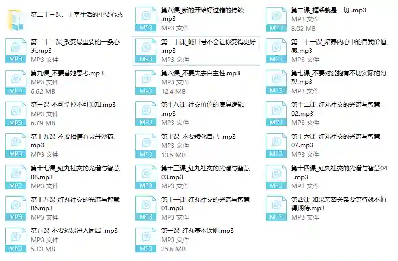 红丸实战指南:十大人生法则限时揭秘-掌舵行动营