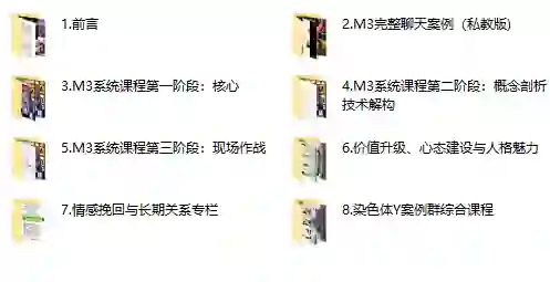 黑猫《终身制M3系统私教内部课程》实战指南:限时揭秘+专属训练计划-掌舵行动营