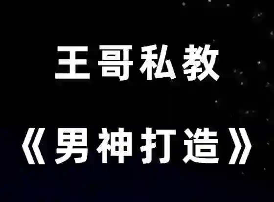 图片[2]-王哥私教课V3.0｜实战情感指南·限时解锁专属成长秘籍-掌舵行动营