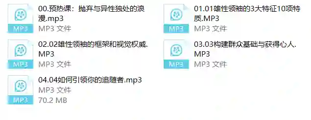 丹青情感《雄性领袖》实战指南：揭秘雄性魅力养成术-掌舵行动营