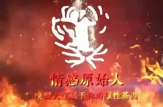 图片[1]-火种情感《情感原始人》实战指南：揭秘原始吸引力法则-掌舵行动营